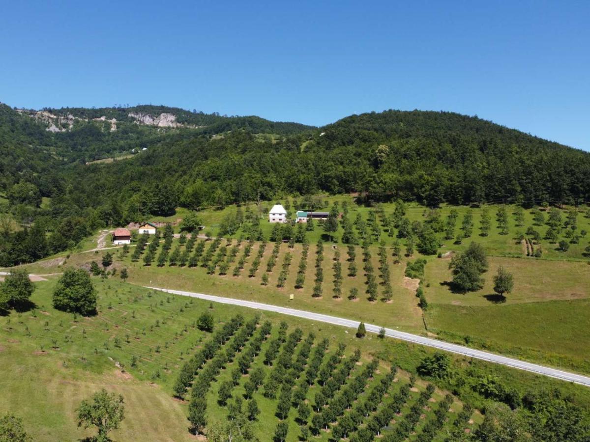 Гостьовий будинок Kljajevica Orchard Плєвля Екстер'єр фото