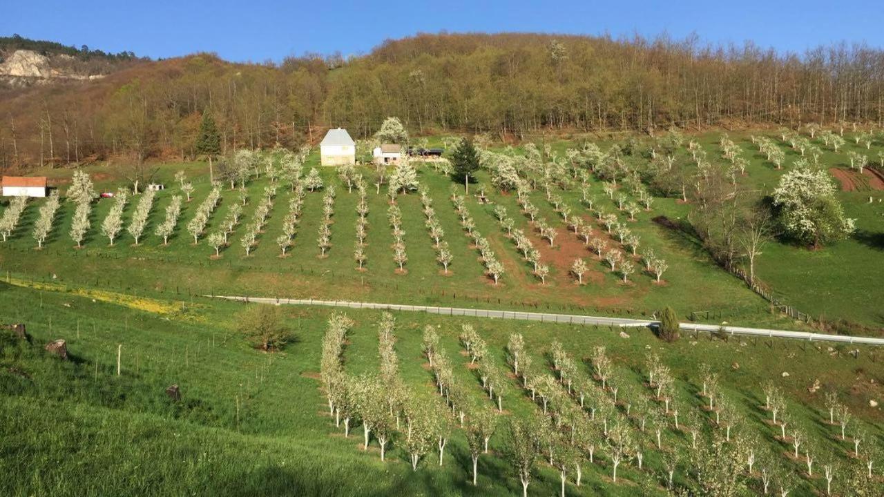 Гостьовий будинок Kljajevica Orchard Плєвля Екстер'єр фото