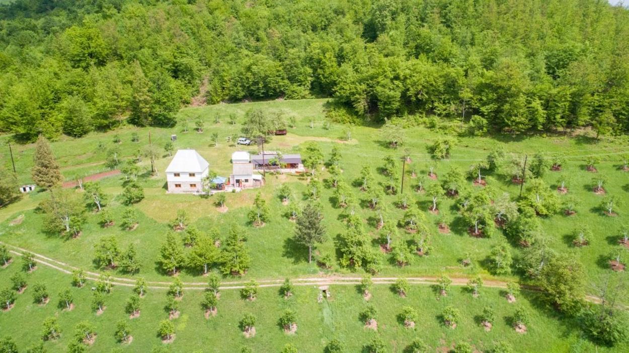 Гостьовий будинок Kljajevica Orchard Плєвля Екстер'єр фото