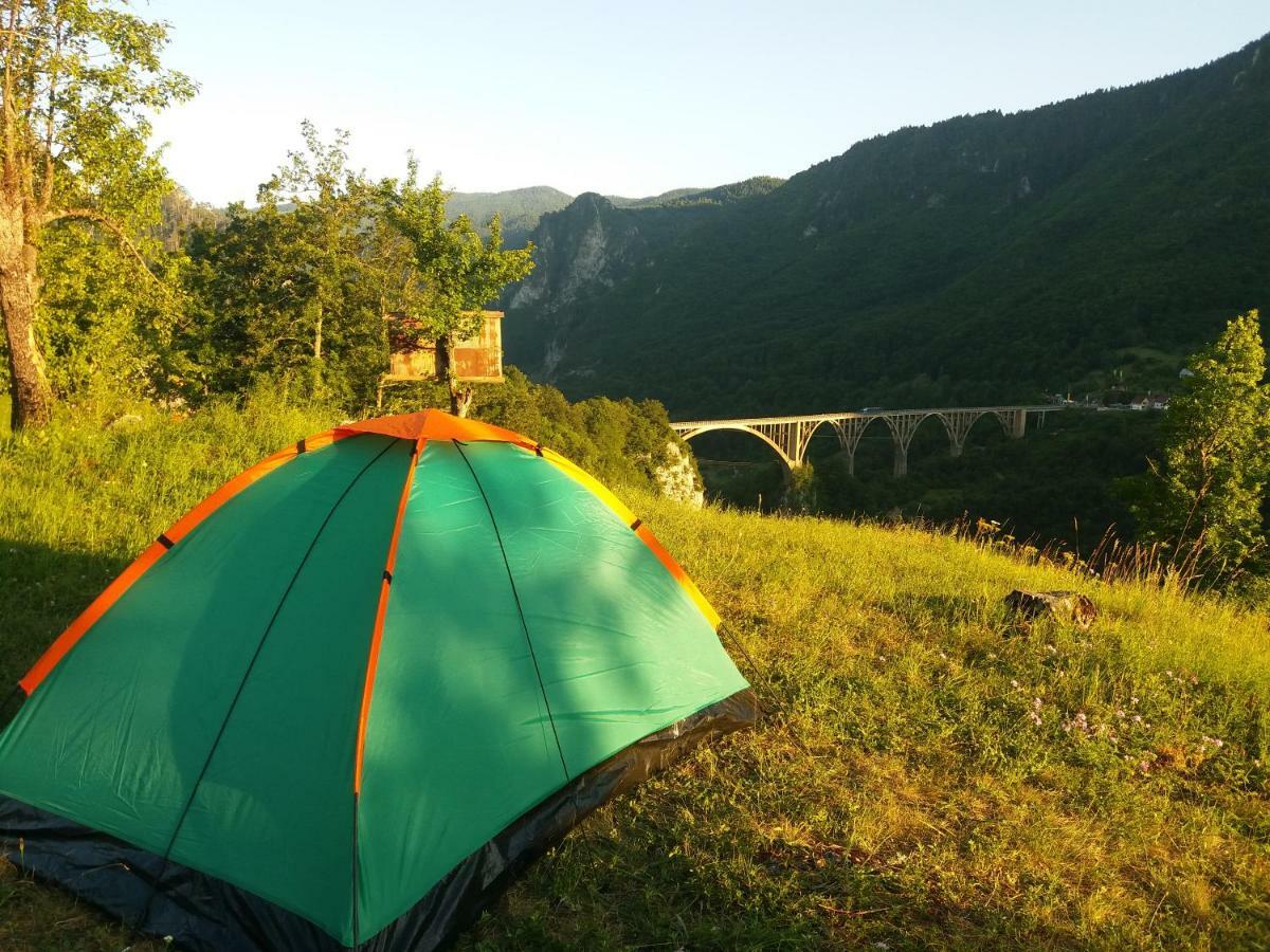Гостьовий будинок Kljajevica Orchard Плєвля Екстер'єр фото