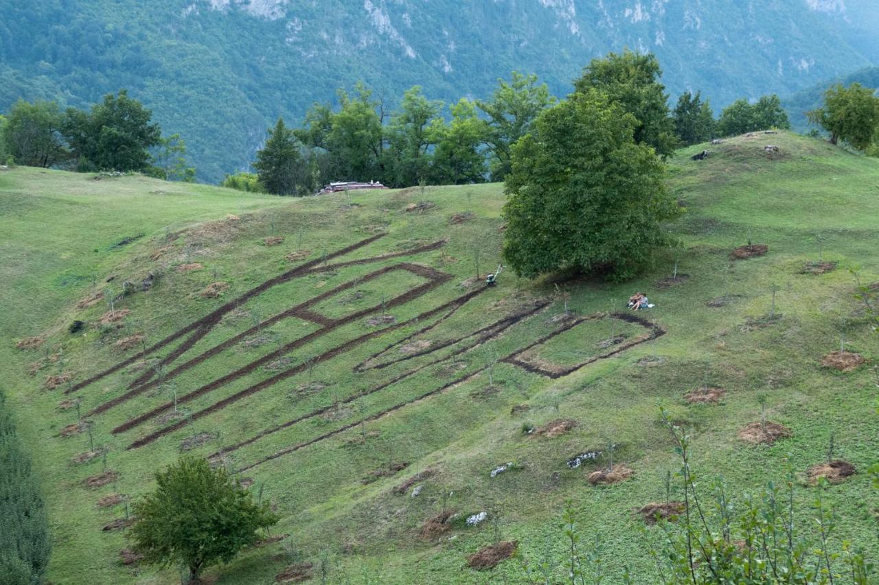 Гостьовий будинок Kljajevica Orchard Плєвля Екстер'єр фото